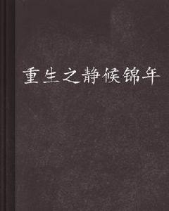 重生之靜候錦年