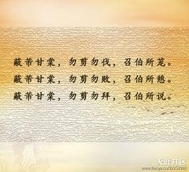 甘棠[詞語釋義]