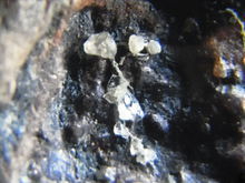 粒子耦合 粒子激發射線分析