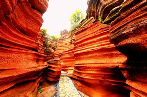 中國酉陽紅石林 中國酉陽紅石林