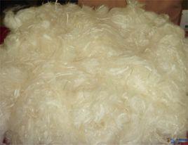 海藻纖維 海藻纖維