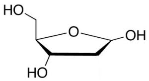 2-脫氧-D-核糖 2-脫氧-D-核糖