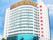 武漢中大腦科研究院 武漢中大腦科研究院