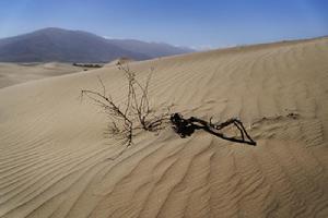 西藏首個國家沙漠公園建設中