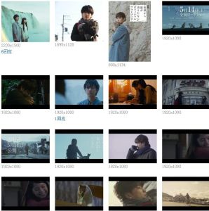 假如貓從世界上消失了