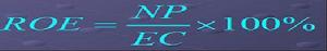 項目資本金淨利潤率（ROE）