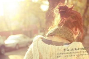 冬日的陽光 冬日的陽光