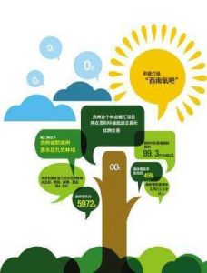 碳匯項目 碳匯項目
