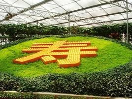 壽光蔬菜博覽會 壽光蔬菜博覽會