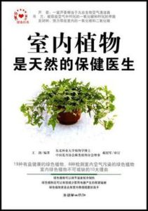 室內植物是天然的保健醫生