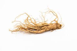 鮮活人參 鮮活人參