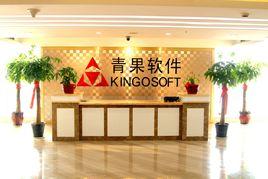 湖南青果軟體有限公司