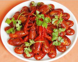 手抓肥龍蝦 手抓肥龍蝦