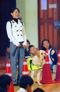 親愛的托拉米 親愛的托拉米