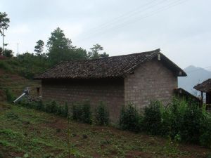 下壩傘村 下壩傘村