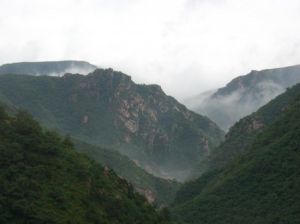 美玉桃源 美玉桃源