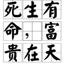 死生有命,富貴在天 死生有命,富貴在天