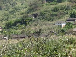 三丘地村 三丘地村