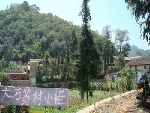 大石橙自然村 大石橙自然村