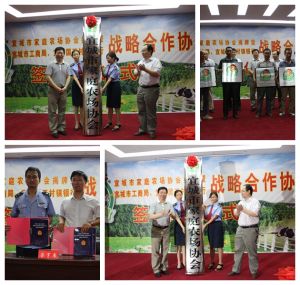 宜城市家庭農場協會