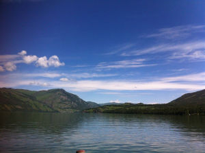 喀納斯國家地質公園展廳