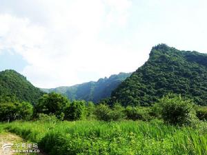 山峰[山體中的上半部分]