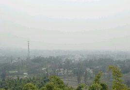 板栗椏鎮 板栗椏鎮