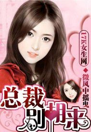 總裁,別胡來 總裁,別胡來