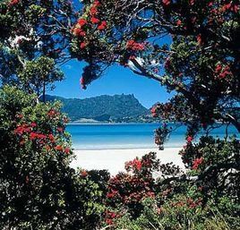 旺格雷角 旺格雷角