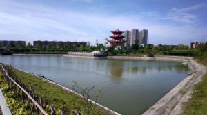 西洋公園 西洋公園