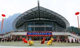 凌雲縣高鐵無軌站