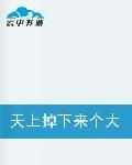 天上掉下來個大魔導