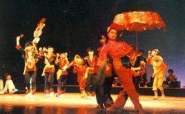 鳳陽花鼓戲 鳳陽花鼓戲