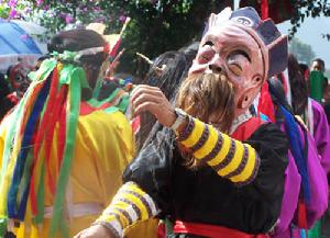 布依戲在布依語中稱“谷藝”，主要分布於貴州南部及西南