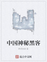 中國神秘黑客 中國神秘黑客
