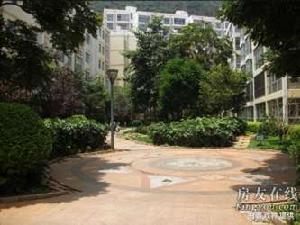 陽光果香 陽光果香