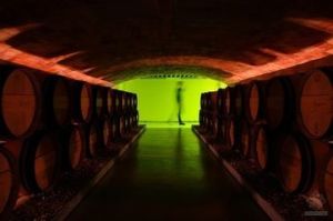 環保釀酒廠 環保釀酒廠