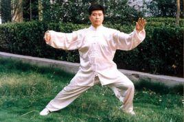 趙堡和式太極拳 趙堡和式太極拳