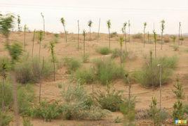 圈點荒漠化 圈點荒漠化