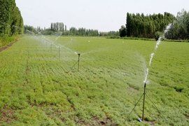 節水灌溉[術語]