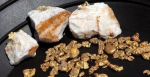 淘金之旅 淘金之旅