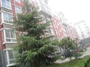 恆通假日風景花園 恆通假日風景花園