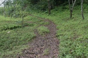 上井自然村 上井自然村