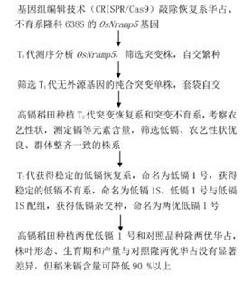 親本去鎘技術 親本去鎘技術