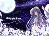 princess,請不要再冷漠 princess,請不要再冷漠