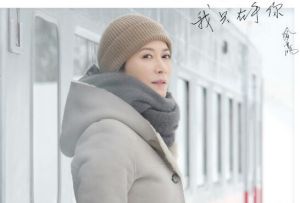 我只在乎你[俞飛鴻高聖遠主演的電影]