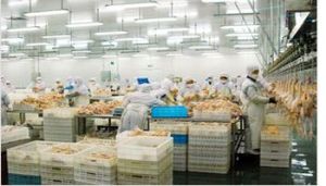 農產品深加工 農產品深加工