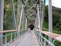 （圖）大甲溪花梁鋼橋