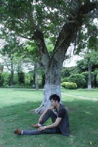 聽到秋天 聽到秋天