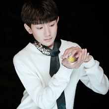 螢火[TFBOYS演唱歌曲]